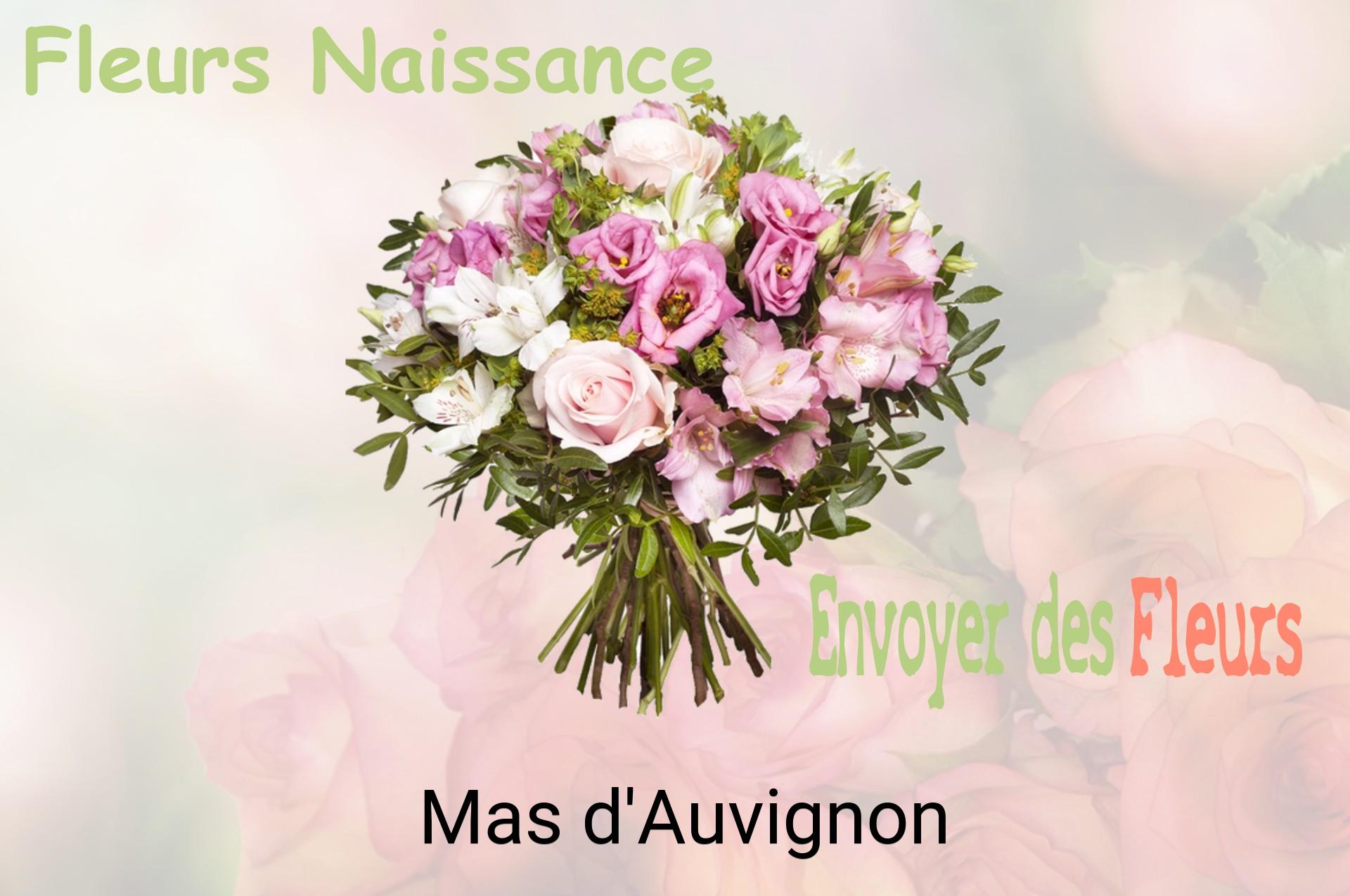Bouquet de fleurs de naissance livré à Mas-d'Auvignon